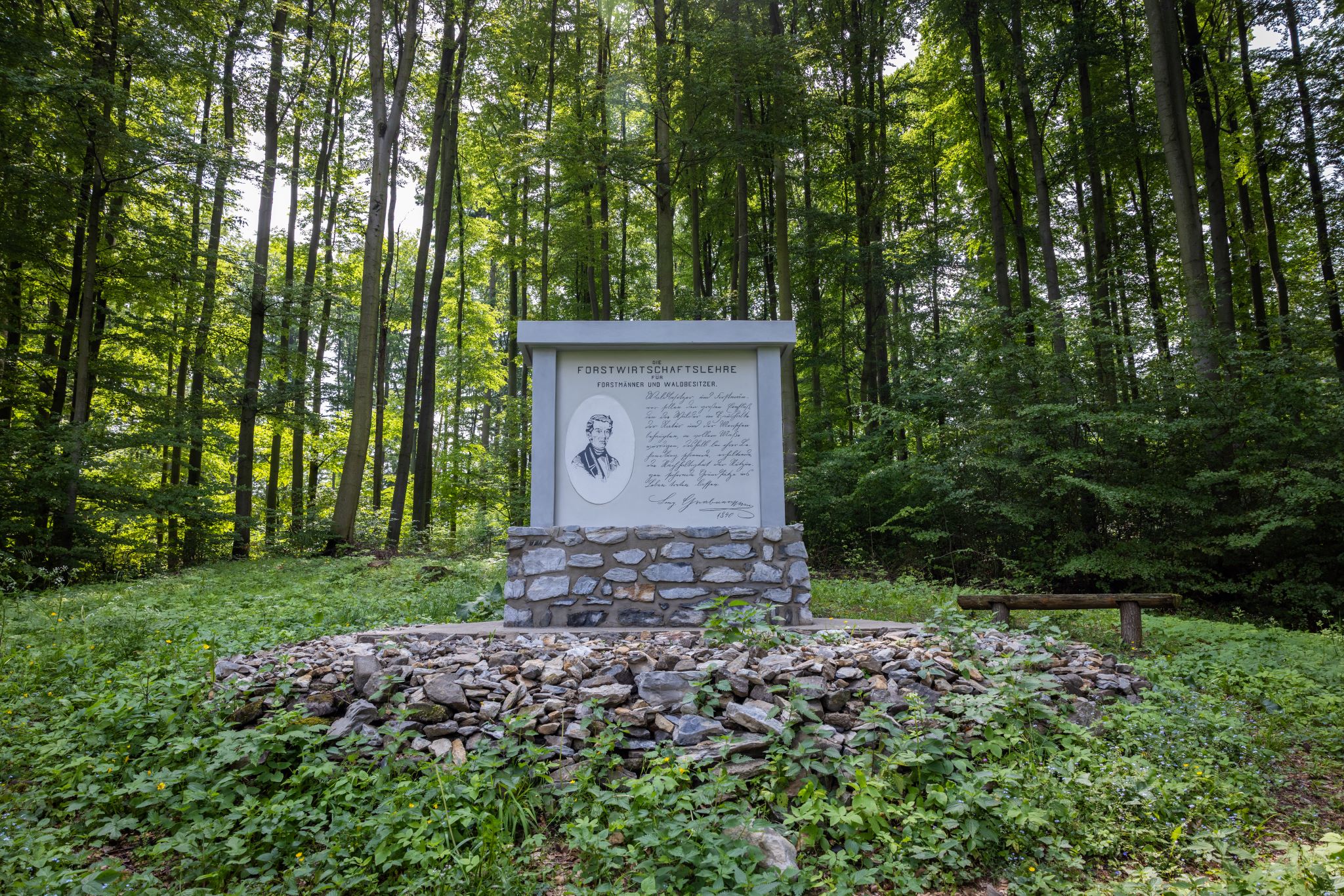 Soukromý: Lesnický Slavín – studánky, palouky, památníky